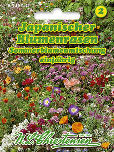 Samen - Japanischer Blumenrasen