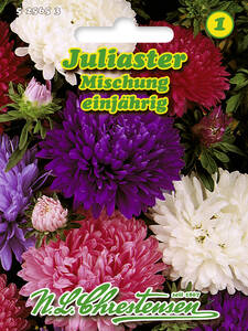 Samen - Juliaster-Mischung