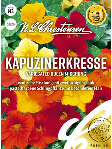 Samen - Kapuzinerkresse Variegated Queen Mischung: (Bildbeschreibung ist in Arbeit)
