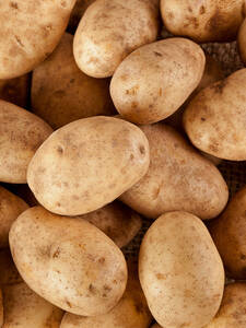 Pflanzgut - Kartoffel Eersteling