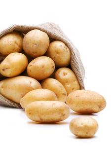 Pflanzgut - Kartoffel Karlena
