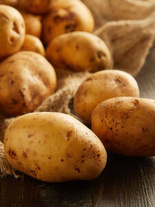 Pflanzgut - Kartoffel Montreal