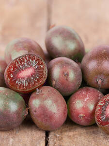 Kiwi Kens Red: (Bildbeschreibung ist in Arbeit)