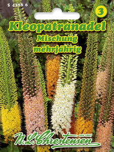Samen - Kleopatranadel / Lilienschweif Mischung: (Bildbeschreibung ist in Arbeit)