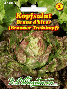 Samen - Kopfsalat Brune d'hiver: (Bildbeschreibung ist in Arbeit)