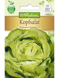 Samen - Kopfsalat Kagraner Sommer 2: (Bildbeschreibung ist in Arbeit)