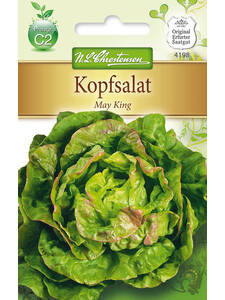 Samen - Kopfsalat Meikoningin (Maiknig): (Bildbeschreibung ist in Arbeit)