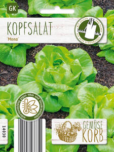 Dekoratives Vorschaubild des Artikels "Kopfsalat Mona" (Bildbeschreibung ist in Arbeit)