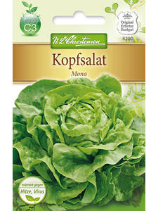 Samen - Kopfsalat Mona: (Bildbeschreibung ist in Arbeit)