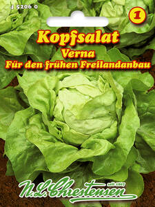 Samen - Kopfsalat Verna: (Bildbeschreibung ist in Arbeit)