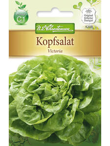 Samen - Kopfsalat Victoria: (Bildbeschreibung ist in Arbeit)