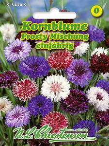 Samen - Kornblume Frosty-Mischung