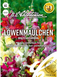 Samen - Lwenmulchen Brazilian Carnival: (Bildbeschreibung ist in Arbeit)