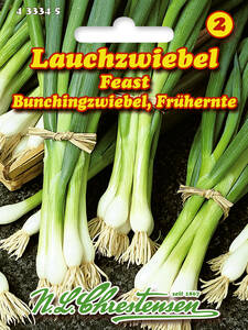 Samen - Lauch-/ Bunchingzwiebel Feast: (Bildbeschreibung ist in Arbeit)