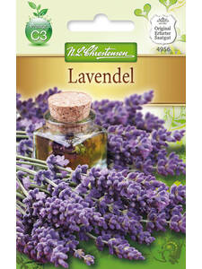 Lavendel