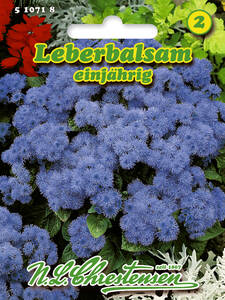 Samen - Leberbalsam Blaues Meer: (Bildbeschreibung ist in Arbeit)