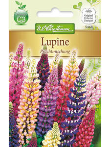 Samen - Lupine Prachtmischung: (Bildbeschreibung ist in Arbeit)