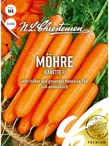 Daucus carota Karotte Mohrrübe Samen 81690 Nantaise-Typ BIO Möhre 'Jeanette'