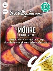 Samen - Mhre Purple Haze, F1 