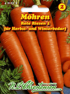 Samen - Mhre Rote Riesen 2: (Bildbeschreibung ist in Arbeit)