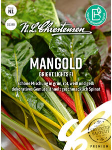 Mangold Bright Lights, F1: (Bildbeschreibung ist in Arbeit)
