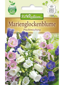 Samen - Marienglockenblume Prachtmischung: (Bildbeschreibung ist in Arbeit)