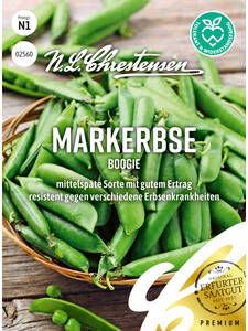 Erbsensamen - Markerbse Boogie