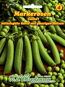 Samen - Markerbse Costa: (Bildbeschreibung ist in Arbeit)