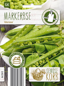 Dekoratives Vorschaubild des Artikels "Markerbse Gloriosa" (Bildbeschreibung ist in Arbeit)