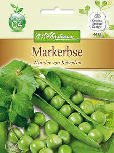 Samen - Markerbse Wunder von Kelvedon: (Bildbeschreibung ist in Arbeit)
