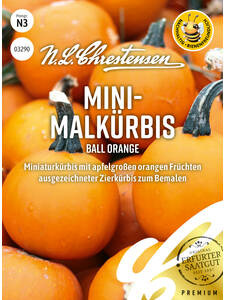 Samen - Mini-Malkürbis Ball Orange