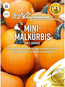 Samen - Mini-Malkrbis Ball Orange