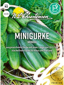 Gurkensamen - Minigurke Monika: (Bildbeschreibung ist in Arbeit)
