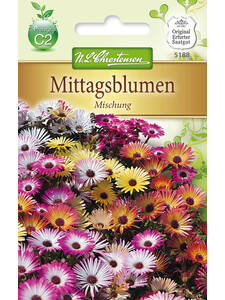 Samen - Mittagsblumen Mischung: (Bildbeschreibung ist in Arbeit)