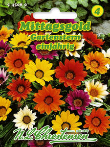 Samen - Mittagsgold Gartenstern: (Bildbeschreibung ist in Arbeit)
