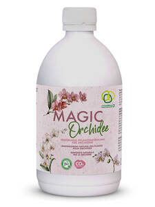 Dekoratives Vorschaubild des Artikels "Multikraft Magic Orchidee" (Bildbeschreibung ist in Arbeit)