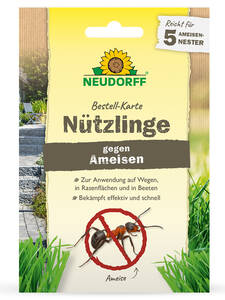 Dekoratives Vorschaubild des Artikels "Neudorff Bestellkarte Ntzlinge gegen Ameisen" (Bildbeschreibung ist in Arbeit)