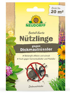 Dekoratives Vorschaubild des Artikels "Neudorff Bestellkarte Ntzlinge gegen Dickmaulrler" (Bildbeschreibung ist in Arbeit)