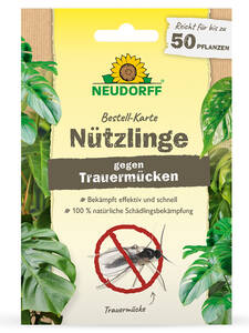 Dekoratives Vorschaubild des Artikels "Neudorff Bestellkarte Ntzlinge gegen Spinnmilben" (Bildbeschreibung ist in Arbeit)