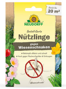 Dekoratives Vorschaubild des Artikels "Neudorff Bestellkarte Ntzlinge gegen Wiesenschnacken" (Bildbeschreibung ist in Arbeit)