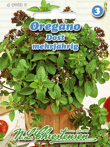 Samen - Oregano/ Dost