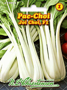 Samen - Pac Choi Joi Choi, F1: (Bildbeschreibung ist in Arbeit)