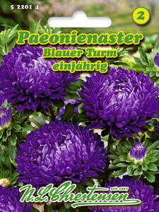 Samen - Paeonienaster Blauer Turm: (Bildbeschreibung ist in Arbeit)