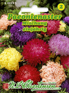 bienenfreundliche - Paeonienaster-Mischung: (Bildbeschreibung ist in Arbeit)