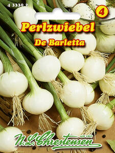 Samen - Perlzwiebel De Barletta