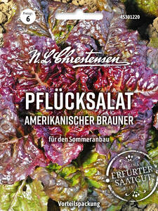 Dekoratives Vorschaubild des Artikels "Pflcksalat Amerikanischer Brauner" (Bildbeschreibung ist in Arbeit)