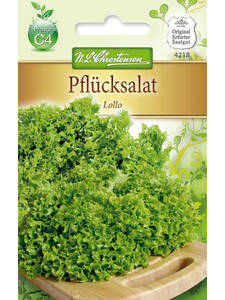 Samen - Pflcksalat Lollo: (Bildbeschreibung ist in Arbeit)