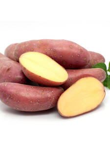 Dekoratives Vorschaubild des Artikels "Pflanzkartoffel Baltic Rose (rotschalig)" (Bildbeschreibung ist in Arbeit)