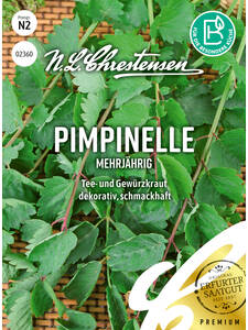Samen - Pimpinelle: (Bildbeschreibung ist in Arbeit)