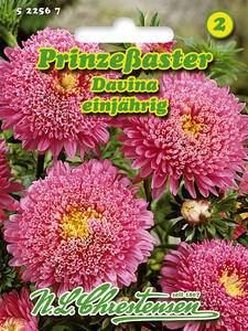 Samen - Prinzessaster Davina